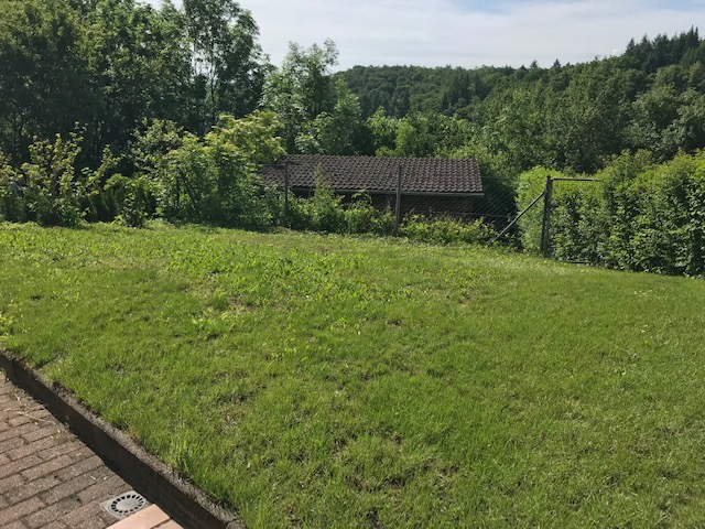 Garten_2 Garten_2